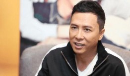 甄子丹明星在线观看,动作巨星风采再现